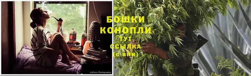 наркотики  Звенигород  Шишки марихуана Ganja 